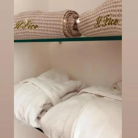 B&B Il Fico Deluxe 오스투니